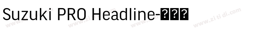 Suzuki PRO Headline字体转换